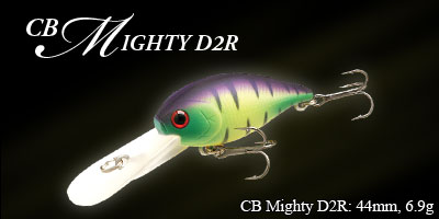 CBMightyD2R