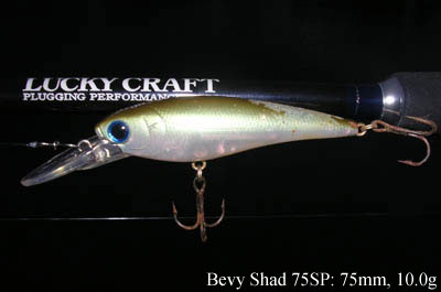 Bevy Shad 75SP