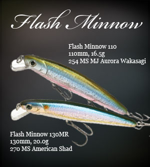 Flash Minnow