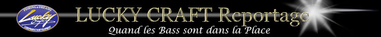 Reportage