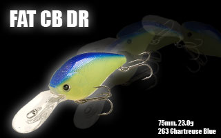 Fat CB DR