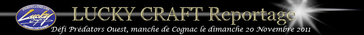 Reportage
