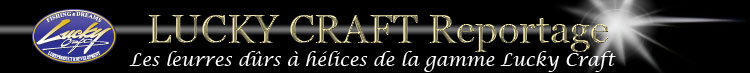 Reportage