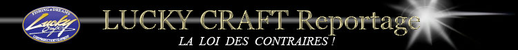 Reportage