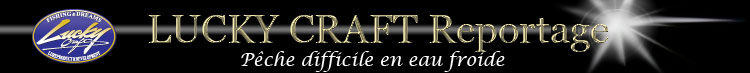 Reportage