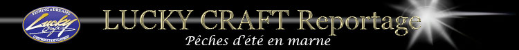 Reportage