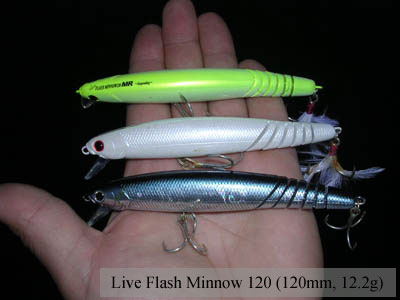 Live Flash Minnow 120