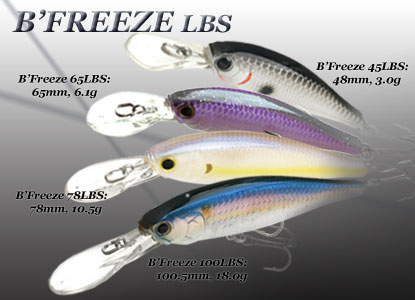 B'Freeze LBS