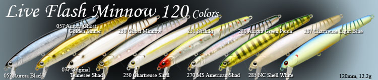 Live Flash Minnow 120