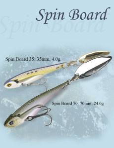 Spin board